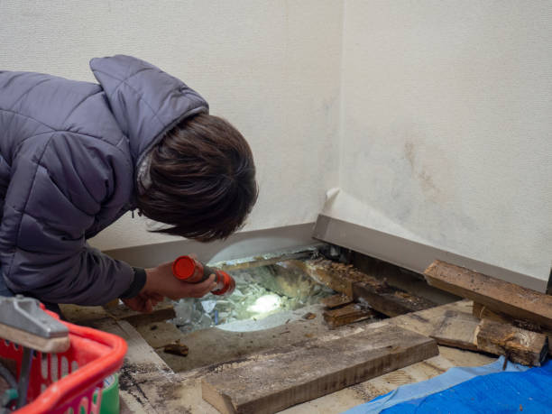 Best Mold Prevention Services  in Plattsburgh, NY