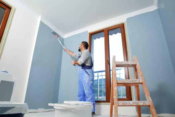 Plattsburgh, NY Mold Removal Pros