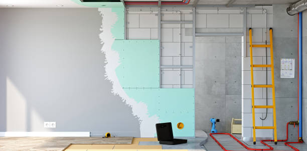 Best Basement Mold Removal  in Plattsburgh, NY