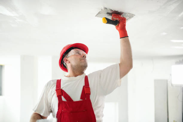 Best Mold Damage Restoration  in Plattsburgh, NY