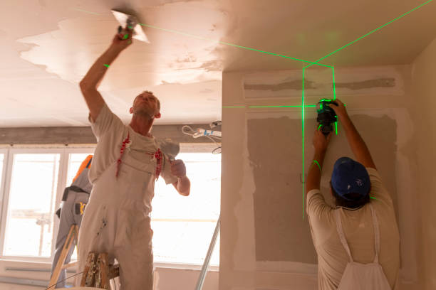 Best Airborne Mold Testing  in Plattsburgh, NY