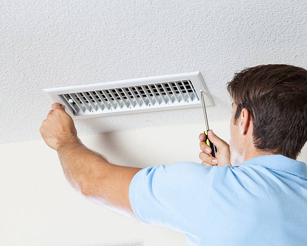 Best Mold-Related Health Consultation  in Plattsburgh, NY
