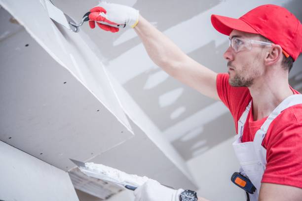 Best Mold Documentation for Insurance Claims  in Plattsburgh, NY